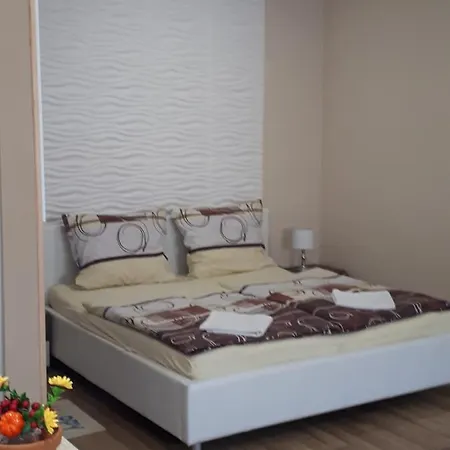 Edina Daire Sátoraljaújhely