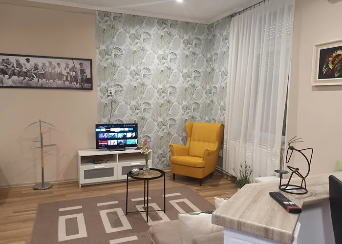 Edina Apartment *